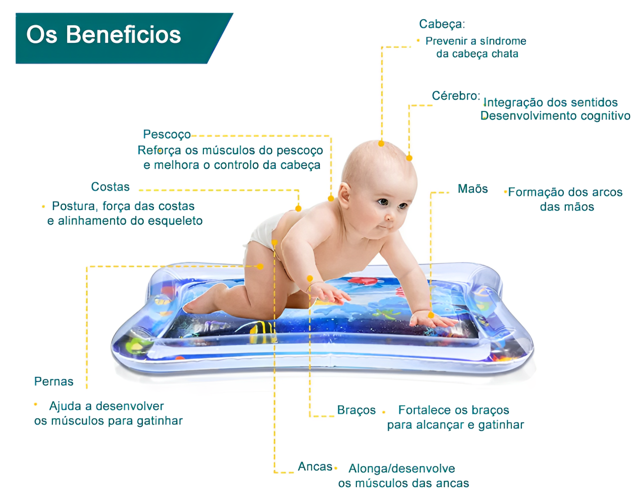 Piscina Sensorial AquaPlay - Brinque & Aprenda 